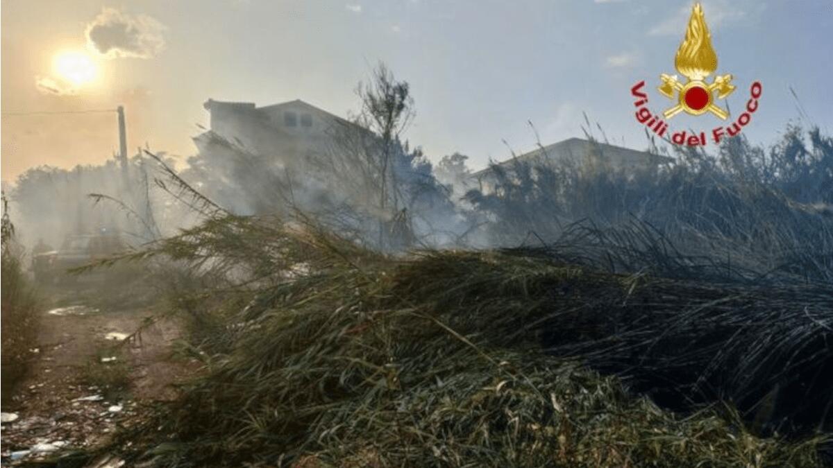 Incendi a Catania vicino l’Oasi del Simeto: disagi per l’aeroporto Fontanarossa - 