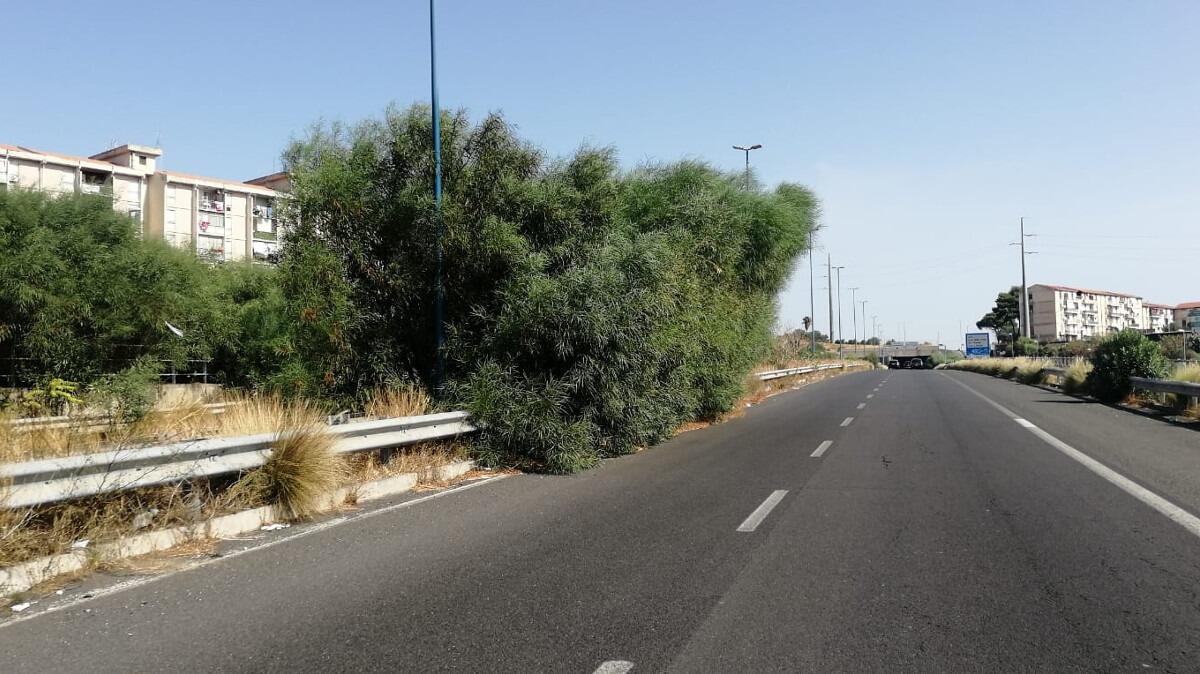 L'Asse Attrezzato di Catania è un percorso ad ostacoli, ma le istituzioni restano a guardare - 