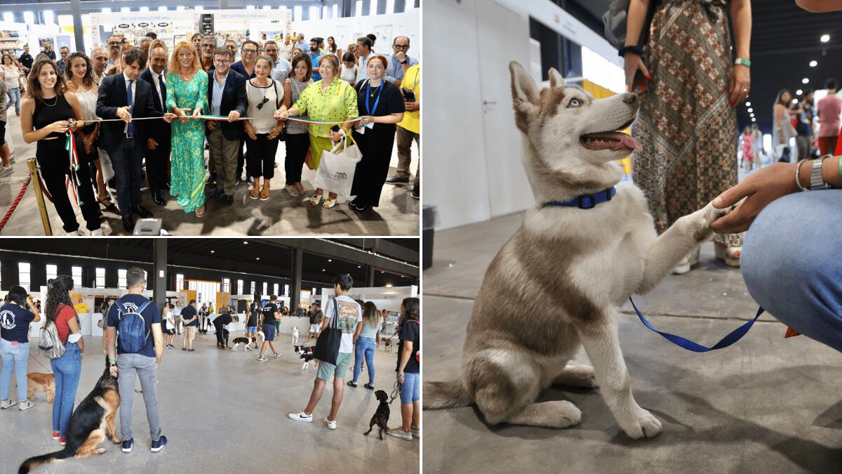 Successo Expopet 2022 e buona la prima “Sicilia fiera”: giochi, divertimento e molto altro - 