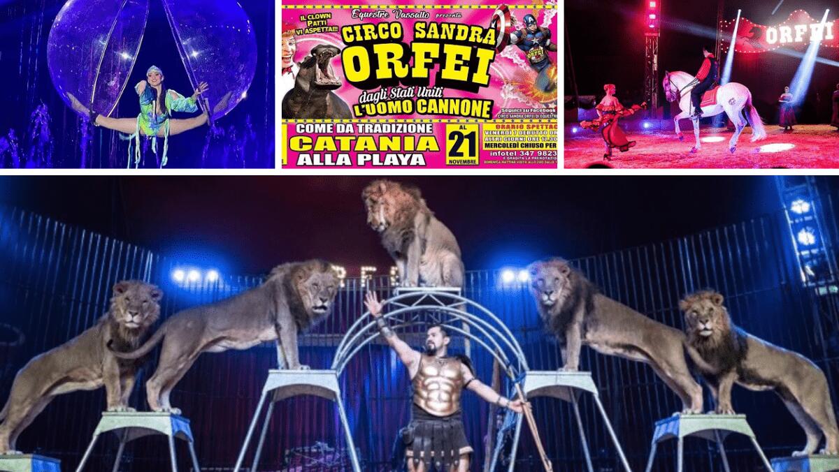 L'incantevole e spettacolare show del Circo Sandra Orfei è arrivato a Catania (DOVE E QUANDO) - 