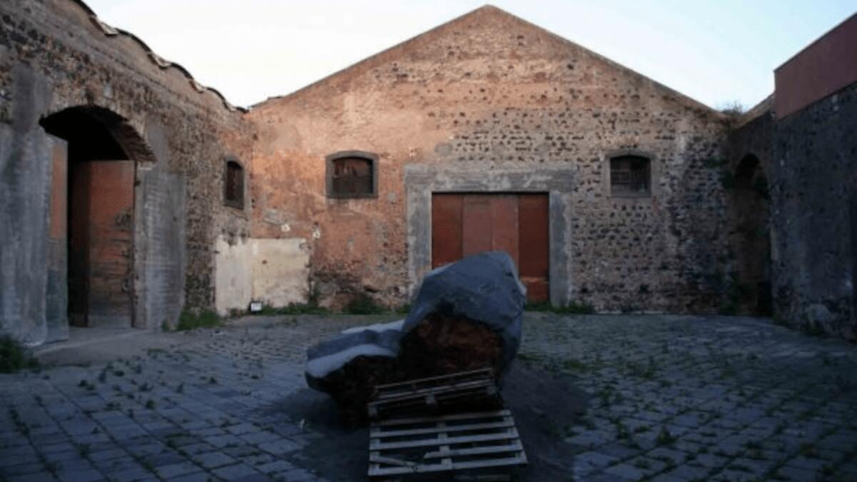 Dentro l’attimo: mostra dell'artista visivo Dominique Robin a Catania (DOVE E QUANDO) - 