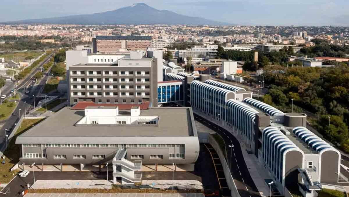Donna deceduta per diagnosi errata: il Policlinico dovrà pagare 65.000 euro (I FATTI) - 
