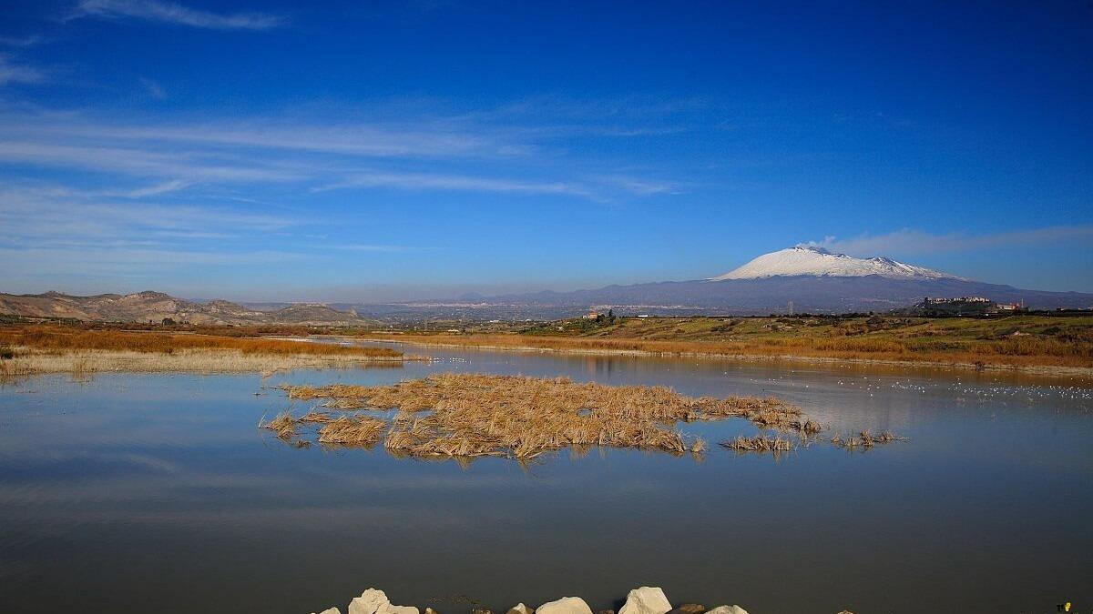 Oasi del Simeto, la Riserva Naturale Catanese tra Storia e Leggenda - 