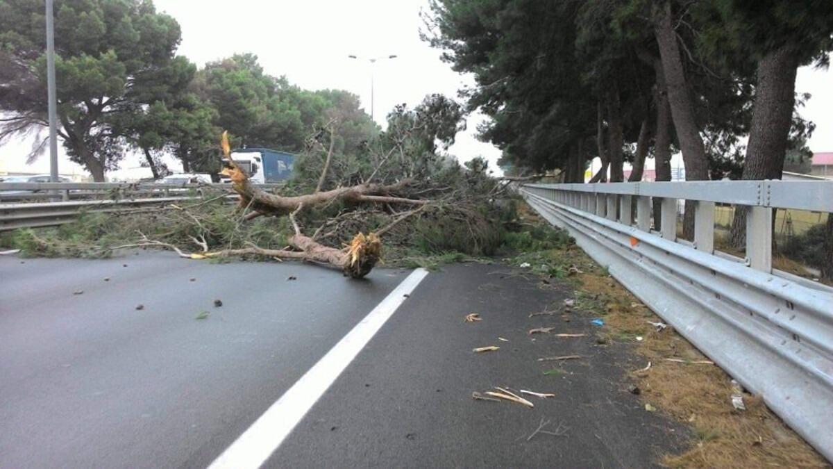 Raffiche di vento, cade un albero sull'A18: ferite tre persone - 