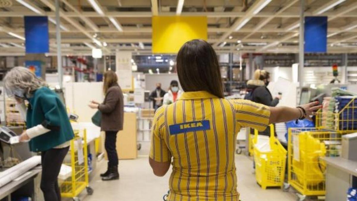 IKEA, posizioni aperte a Catania: i requisiti per candidarsi - 