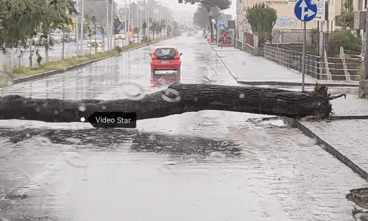 Maltempo a Catania, si contano i primi danni: sfiorata tragedia sulla circonvallazione - 