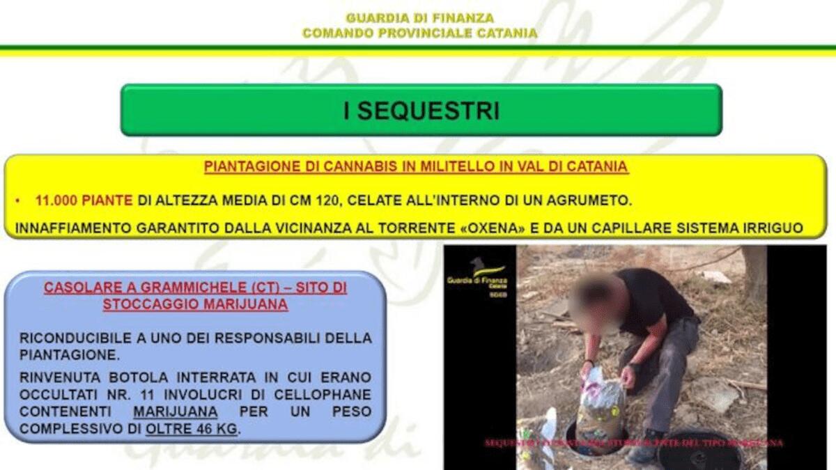 La droga protetta dal clan: 21 arresti per traffico di droga a Catania, ecco i nomi dei mafiosi - 