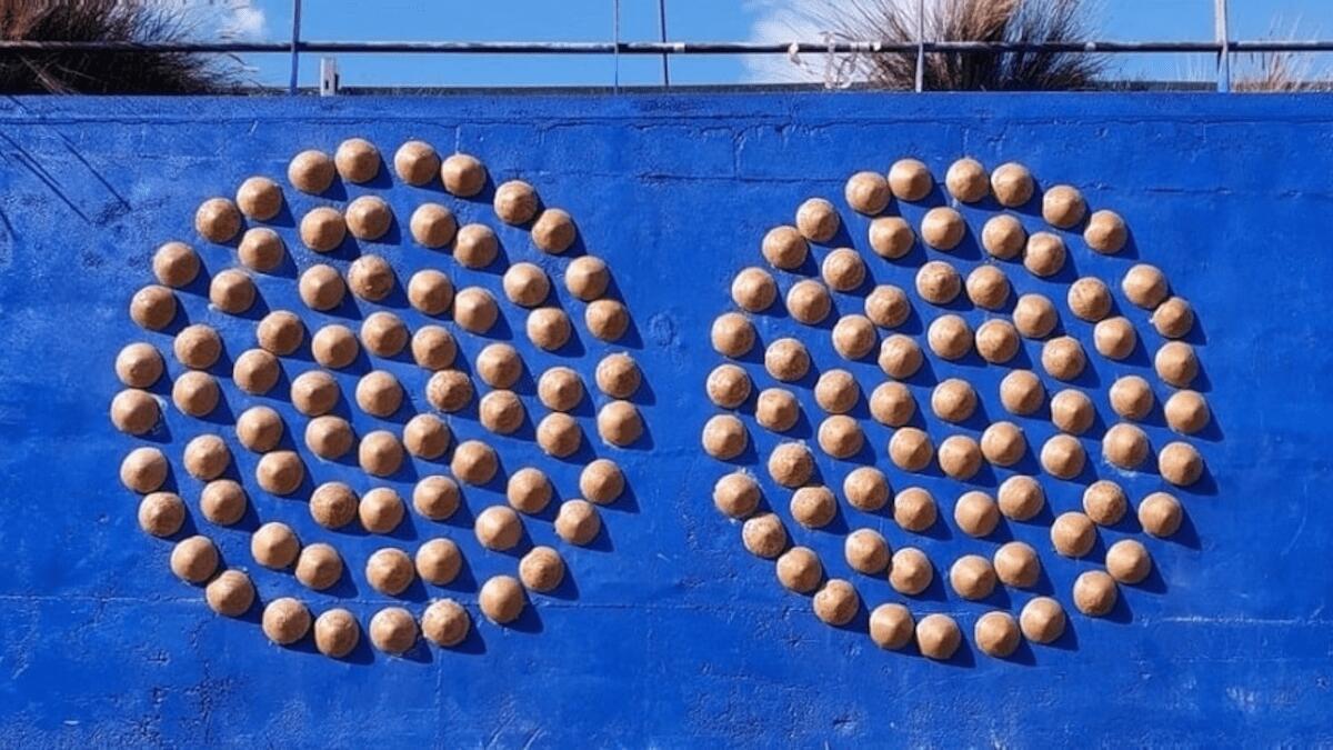 Porta delle Farfalle omaggia Sant’Agata: installazione sculture agatine nell’Opera monumentale - 