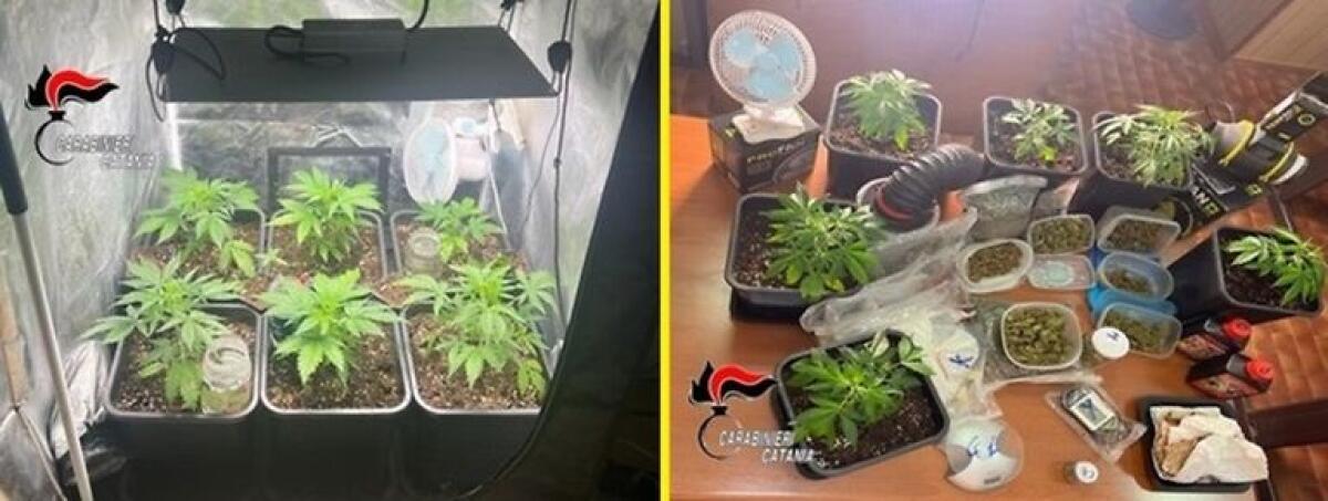 Madre e figlio arrestati a Catania: i carabinieri li hanno sorpresi così - 