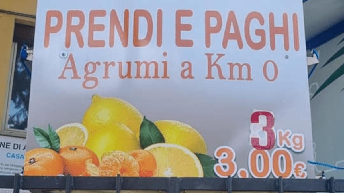 Successo dell’”operazione fiducia” Prendi e Paghi: agrumi venduti senza venditore ad Aci Bonaccorsi - 