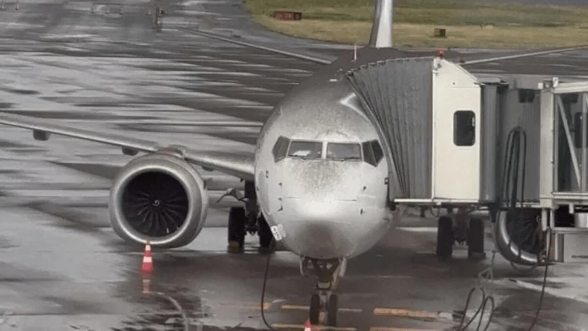 Cenere crea caos e panico in aeroporto: botte da orbi tra i passeggeri dei voli dirottati da CT a PA - 