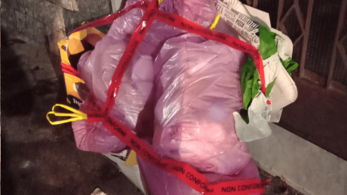 Multe a raffica per spazzatura irregolare: Polizia Municipale effettua verbali su verbali ai cittadini - 