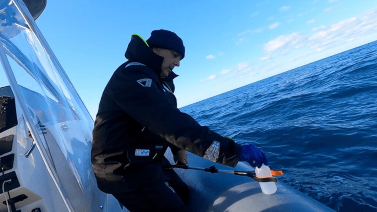 Aumento dell'80% delle microplastiche nel Mar Mediterraneo: lo studio durante missione Ocean - 