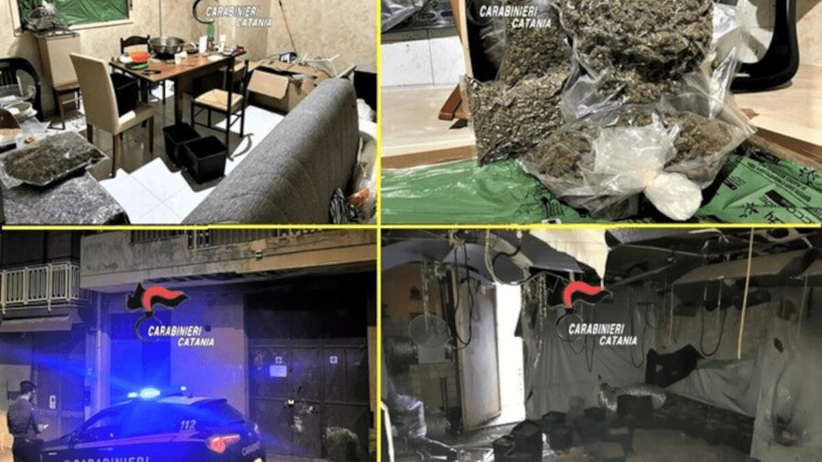 Operazione Librino: serra in casa disabitata, oltre 15 Kg di droga, svariati allacci illeciti e abusivismo - 