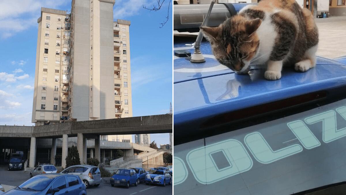 Ai domiciliari spara contro la folla a Librino: rimesso ai domiciliari squarta gatto con “microspie” - 