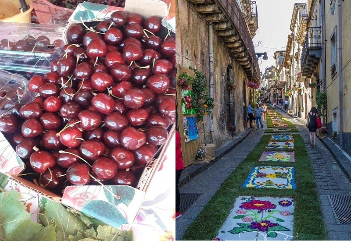Sagra della ciliegia a Sant'Alfio, tutti i dettagli della 13esima edizione - 