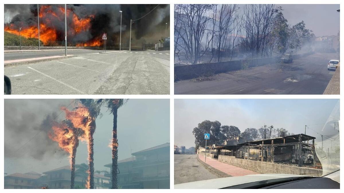 Emergenza caldo, il resoconto di una giornata da dimenticare - 