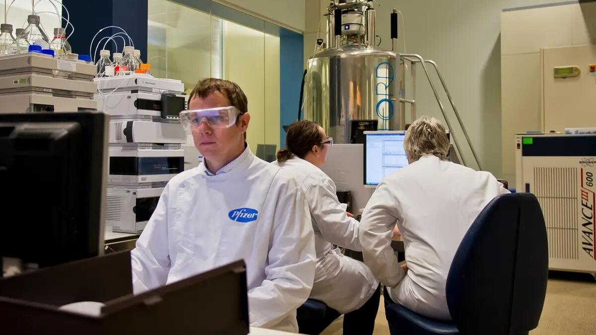 Pfizer, nuove posizioni aperte a Catania. Requisiti e come candidarsi - 
