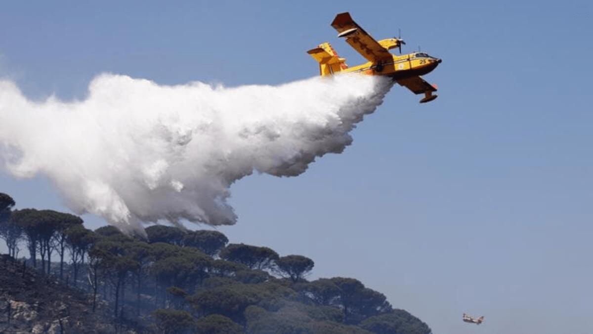 Incendi in Sicilia: la situazione a Catania e nei dintorni durante l’emergenza caldo - 