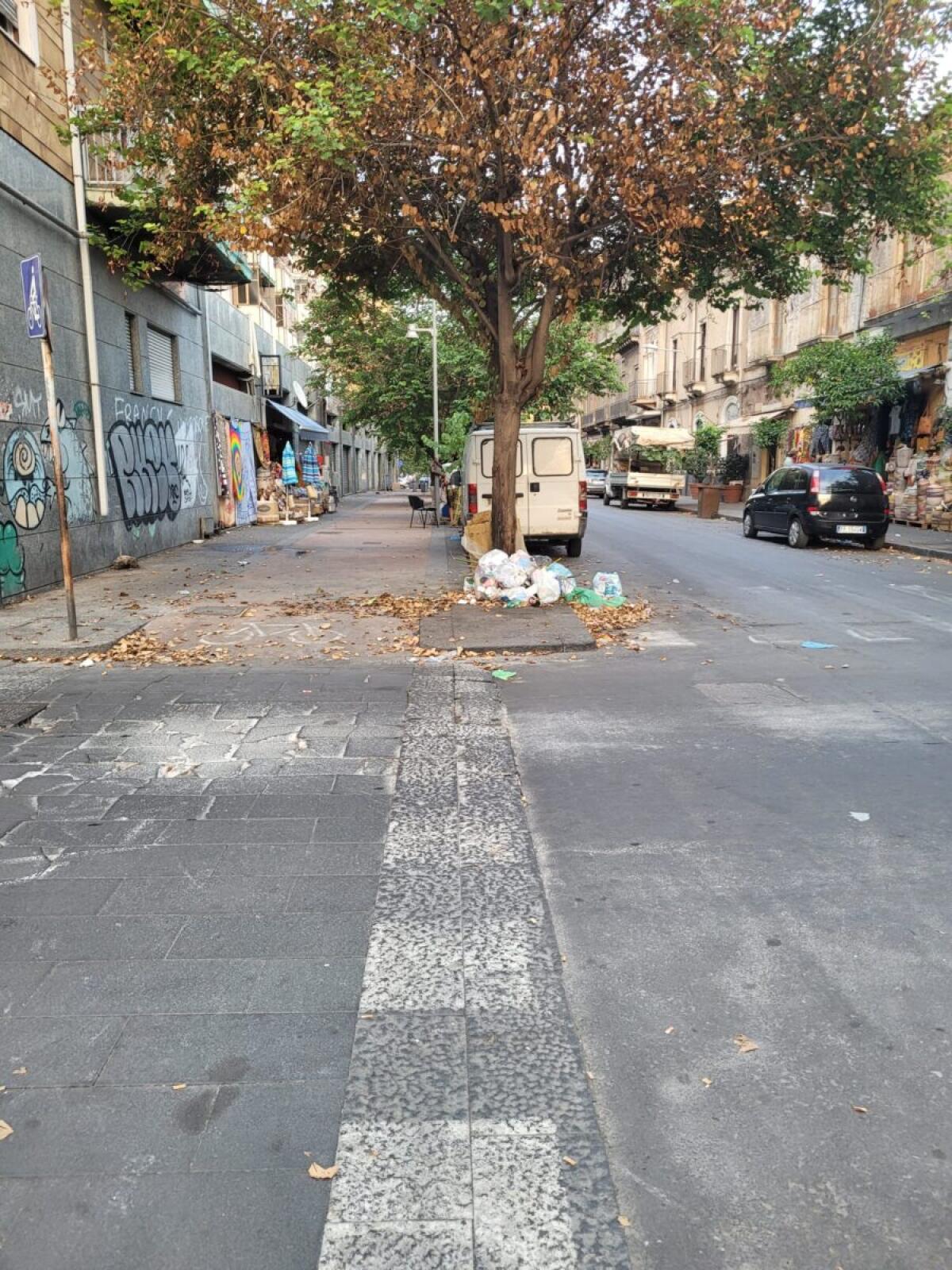 Multati cittadini incivili che usano gli alberi come discariche: il Comune di Catania agisce - 