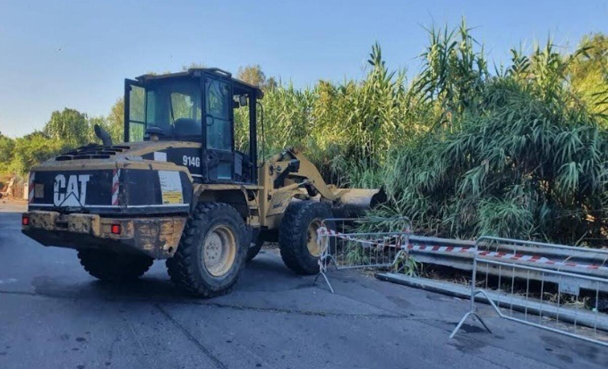 Operazioni di bonifica per linee tagliafuoco: Catania si prepara alla sicurezza - 