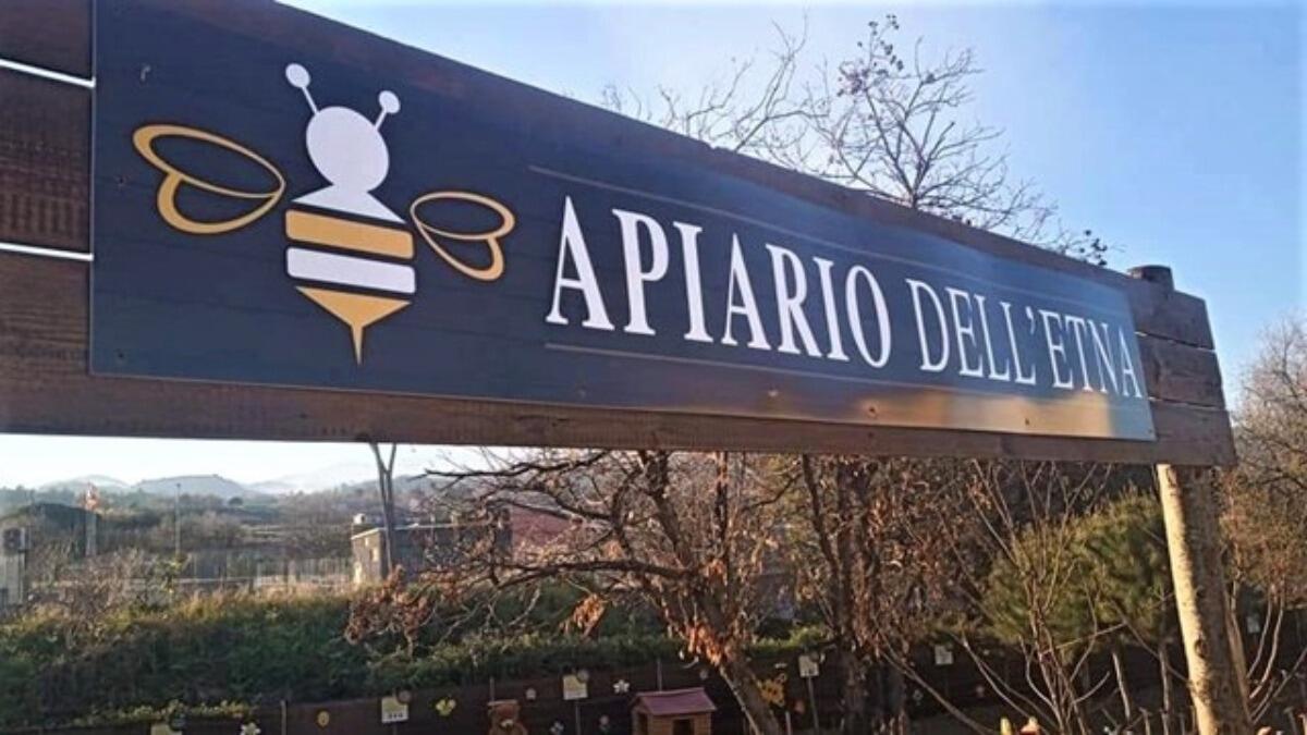 Apiario dell’Etna, la nuova forma di turismo esperienziale dell'estate 2023 - 