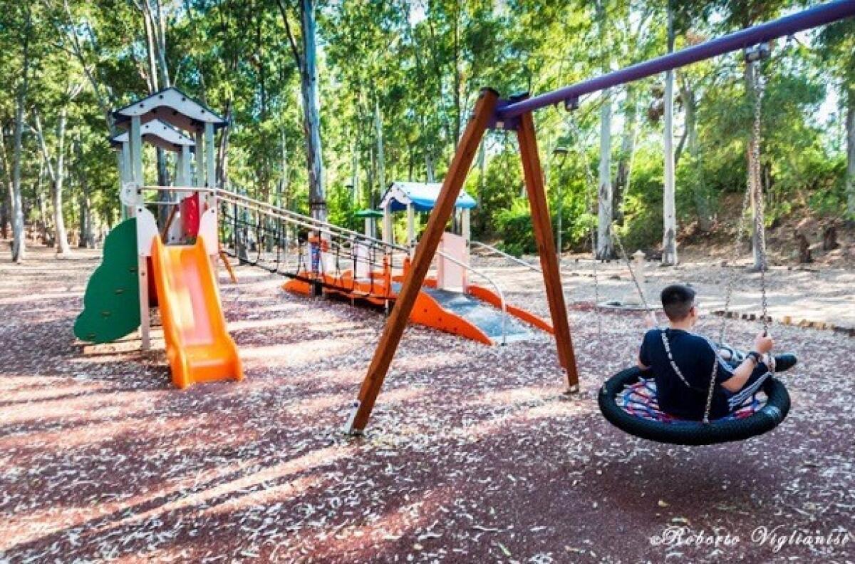Un parco giochi inclusivo nel Boschetto della Plaia: divertimento per tutti i bambini! - 