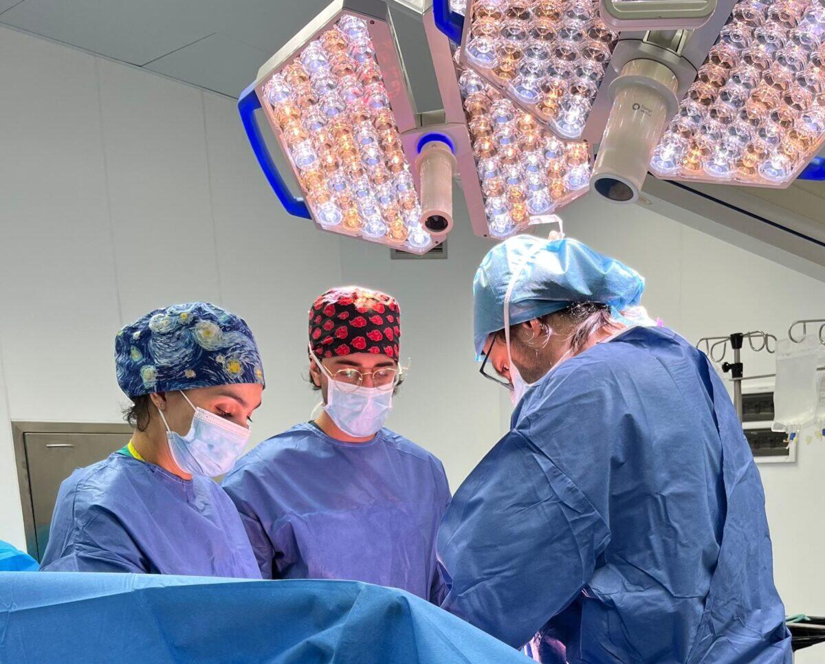 Ospedale Policlinico di Catania: Nuovo prelievo multiorgano di fegato e reni al San Marco - 