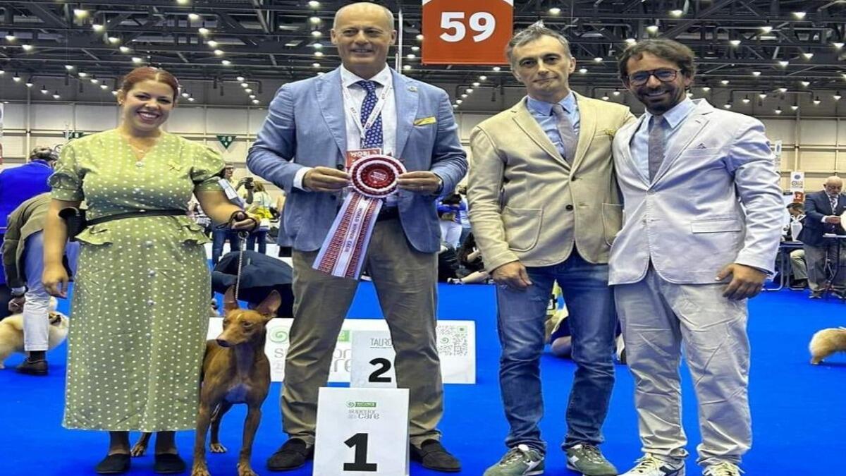 World Dog Show, un vincitore palermitano all'esposizione canina a Ginevra. Ecco chi è - 