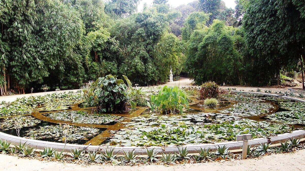Orgoglio rosanero: è a Palermo l'orto botanico più grande d'Europa - 
