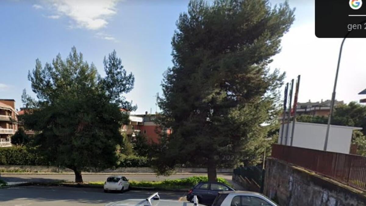 Canalicchio, donna si lega ad un albero per protesta. Ecco la risposta del Sindaco Santi Rando - 