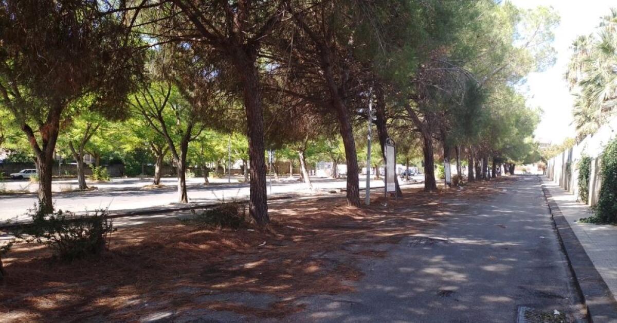 Ordinanza di sgombero a Caltagirone: caravan e roulotte vietate nei parcheggi comunali per motivi di igiene e sicurezza - 