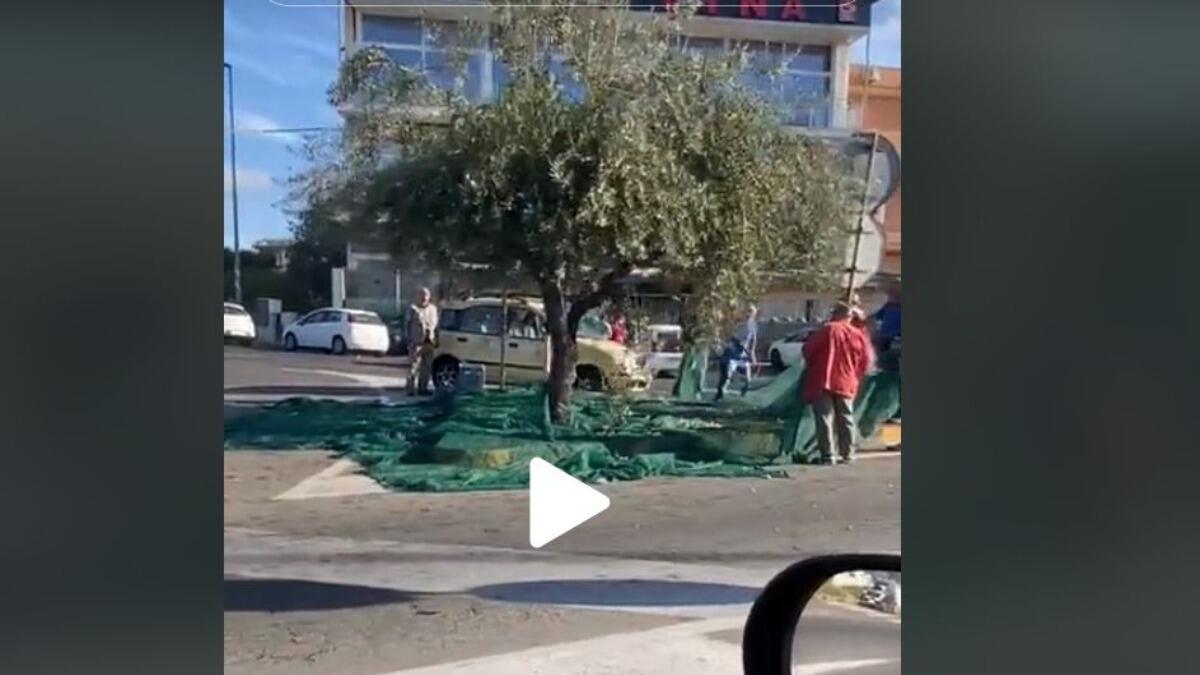 "Da San Giovanni Galermo è tutto", queste le cose che succedono solo a Catania  [VIDEO] - 