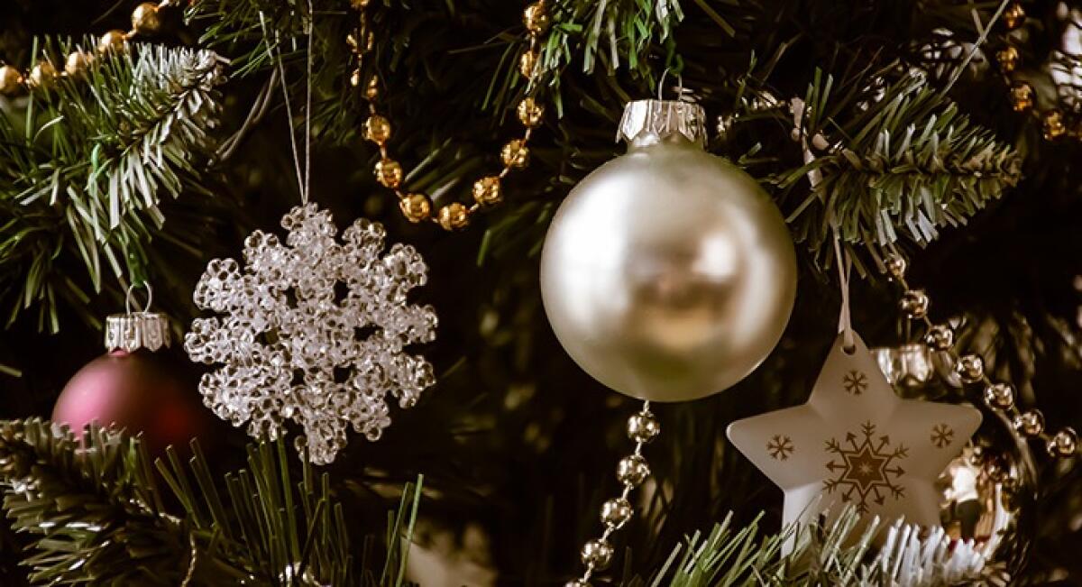 Palermo: Avviso Natale 2023 e Moduli per le festività - 