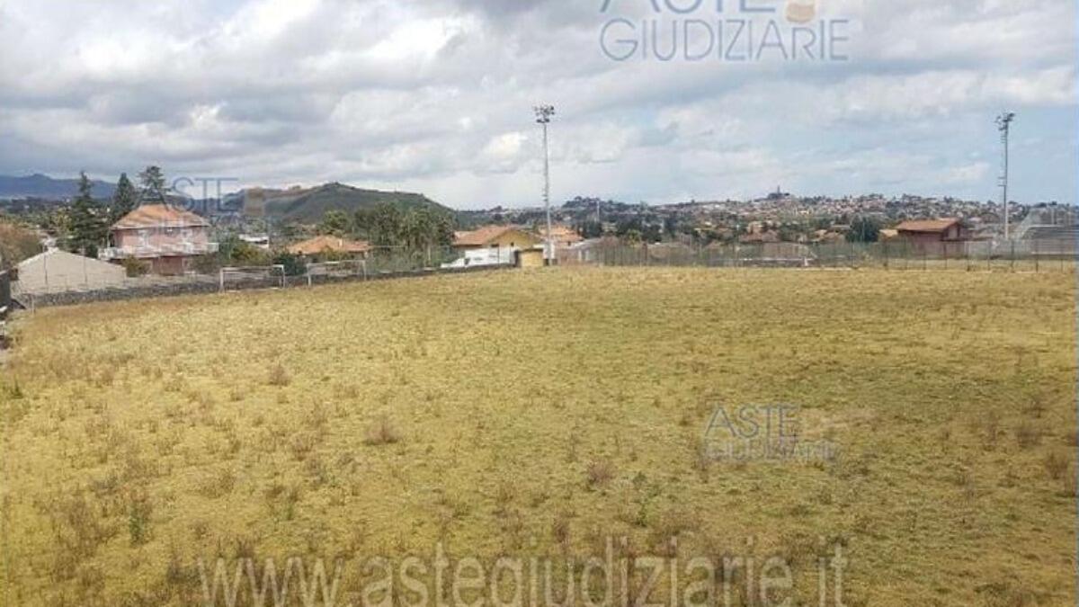 Torre del Grifo: affare del secolo o inganno nascosto? I retroscena di questa supervendita - 