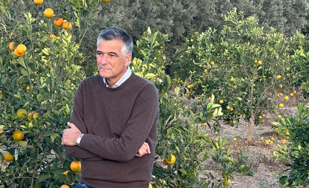 Arancia Rossa di Sicilia IGP chiede azione contro le malattie degli agrumi - 