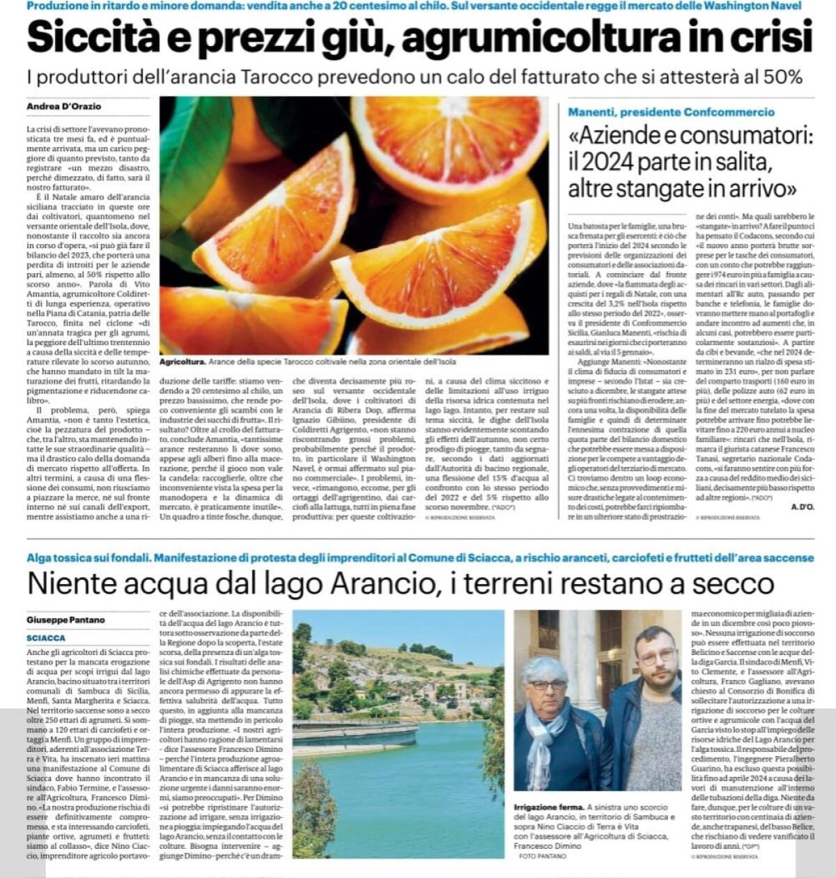 Coldiretti Sicilia: focus sull'agrumicoltura - 