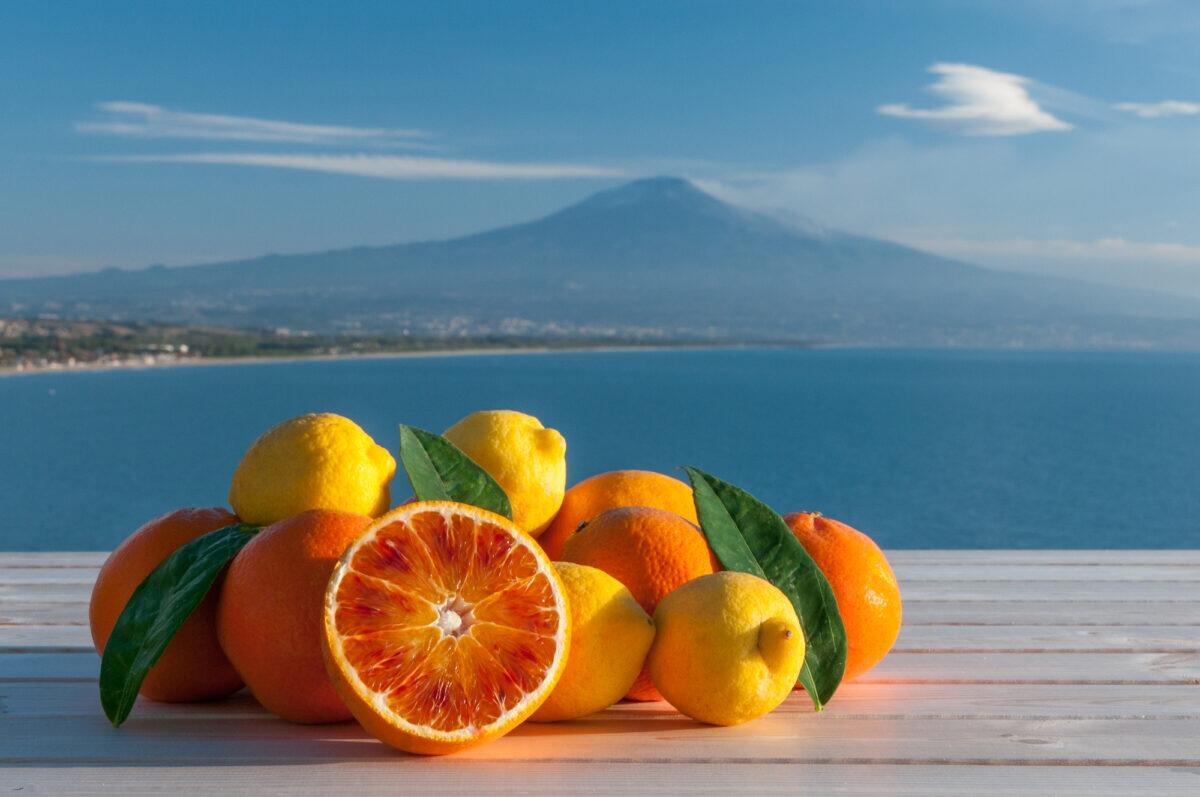 Catania premia l'eccellenza siciliana e si prepara per una prestigiosa cerimonia da non perdere - 
