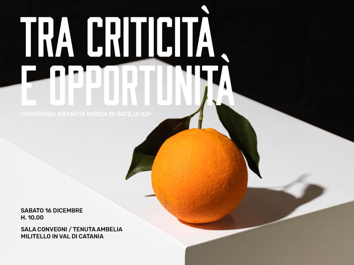 Il Convegno del Consorzio di Tutela Arancia Rossa IGP: Criticità e opportunità. - 