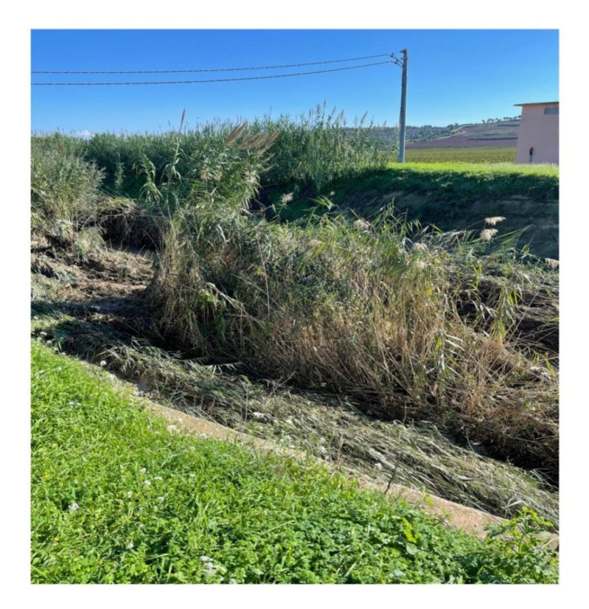 Avviato progetto di messa in sicurezza del fiume Dirillo nel Ragusano - Rischio esondazioni - 
