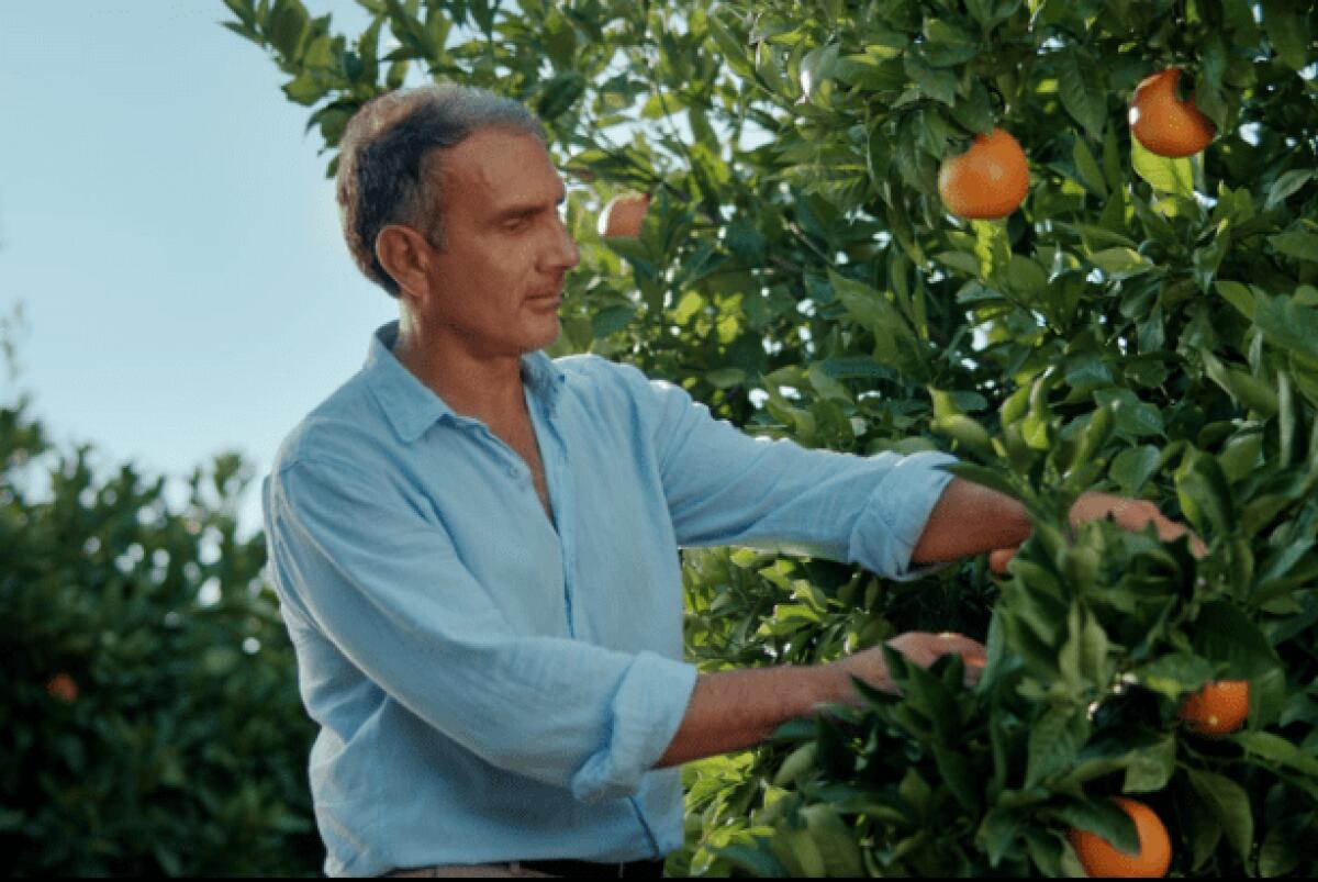 Collaborazione eccellente per la Fanta con Arancia Rossa di Sicilia IGP - 