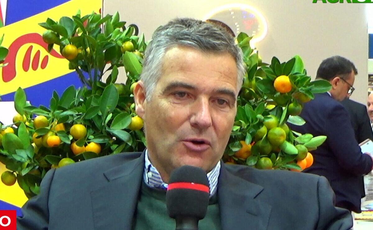Coordinamento europeo contro le fitopatie agrumicole - 