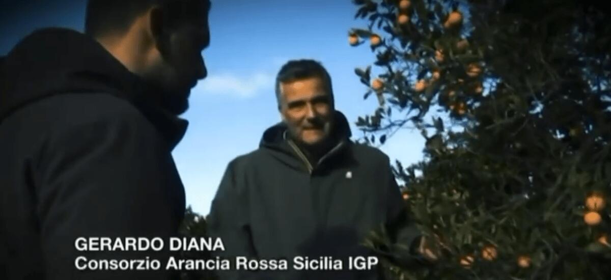 Trasmissione "Fuori dal Coro" presenta Arancia Rossa IGP su Rete 4 - 