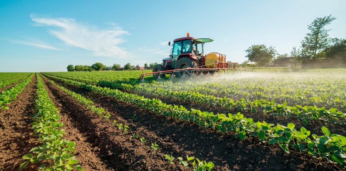 Regione Sicilia pubblica quattro bandi per 35 milioni di euro per l'agricoltura competitiva - 
