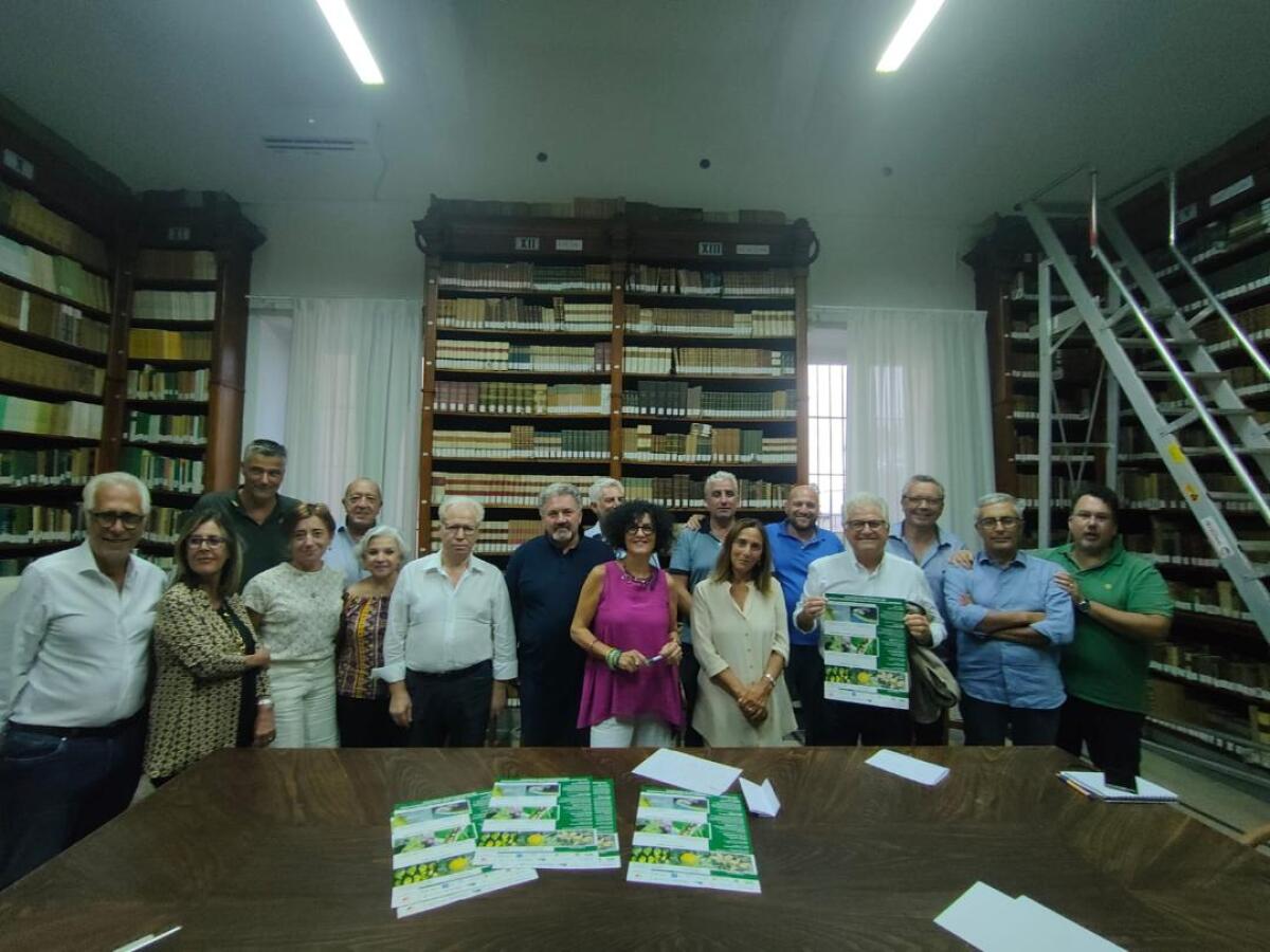 Minaccia per l’Agrumicoltura Italiana: Riunione Operativa sull’HLB - 