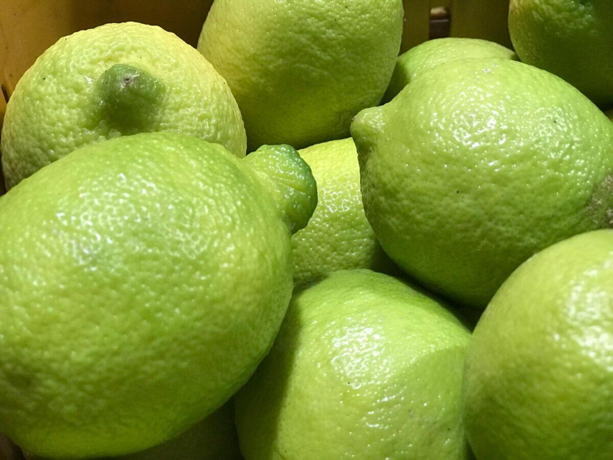 Limoni siciliani: la nuova campagna social del Distretto Agrumi di Sicilia - 
