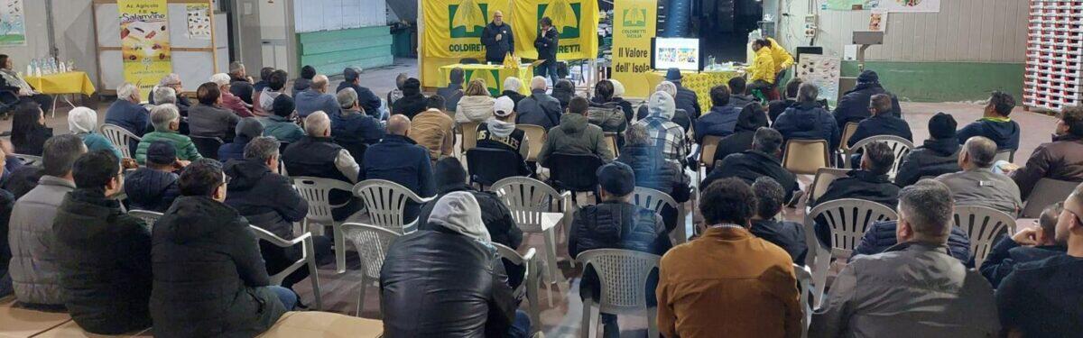 Coldiretti Sicilia celebra l'orgoglio agricolo nell'assemblea di Vittoria (RG) - 