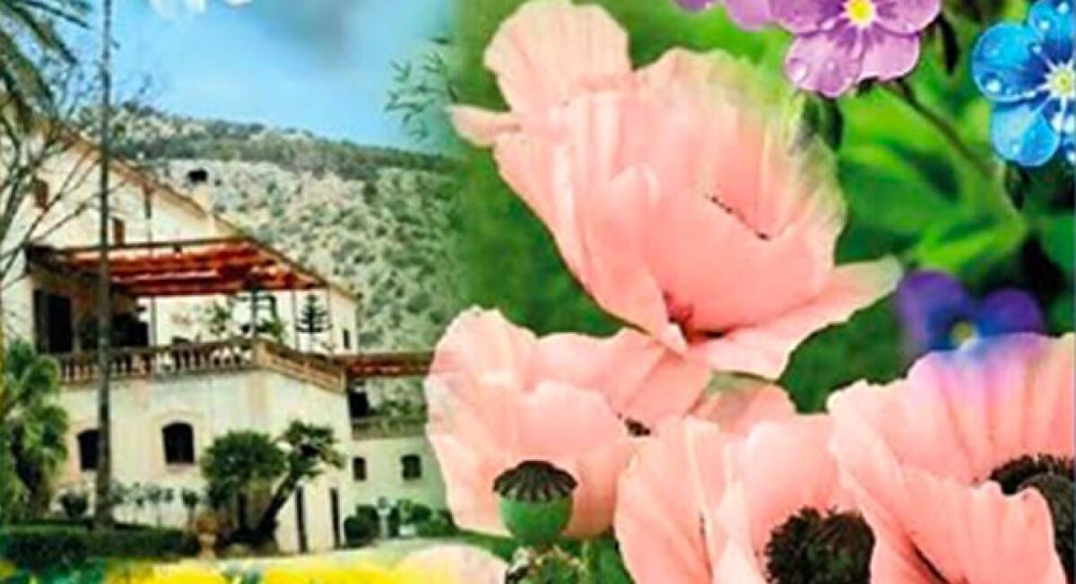 Collettiva d'arte 'Rose e Fiori' a Villa Niscemi Palermo dal 1 all'11 Marzo - 