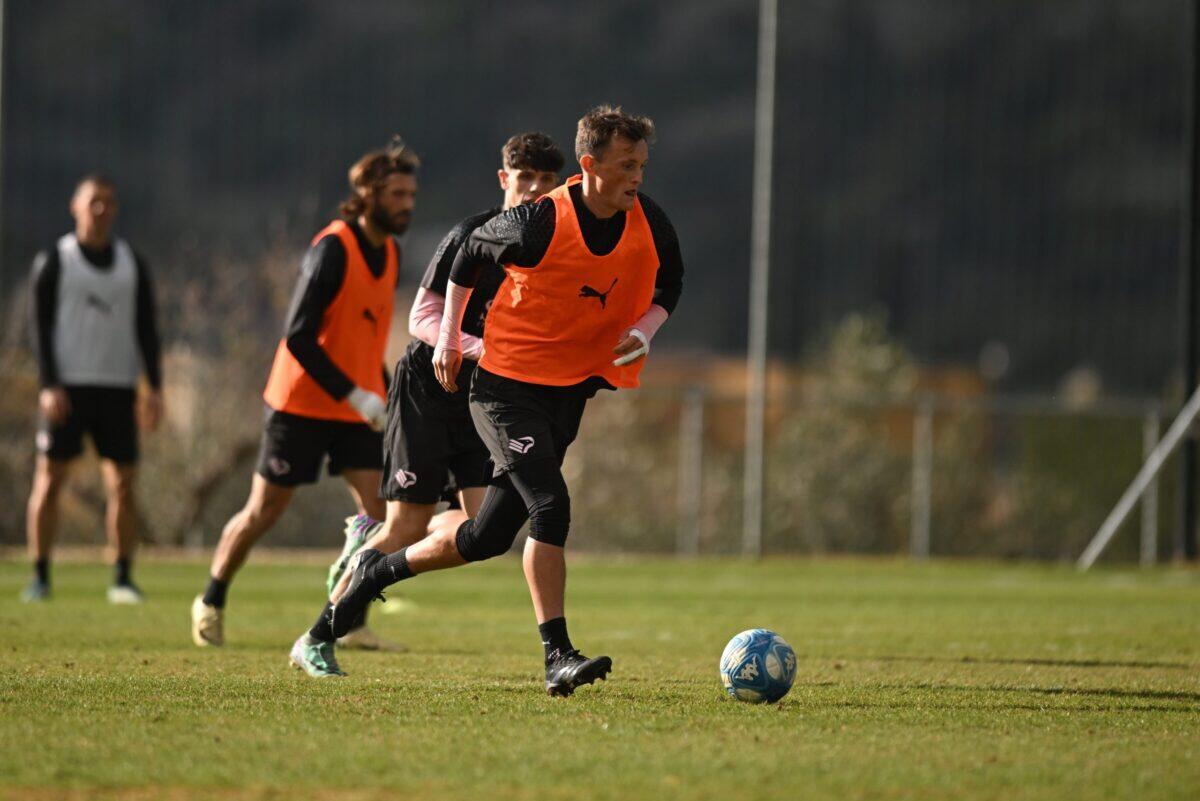 Report Allenamento Palermo FC in vista del match contro la Cremonese - 