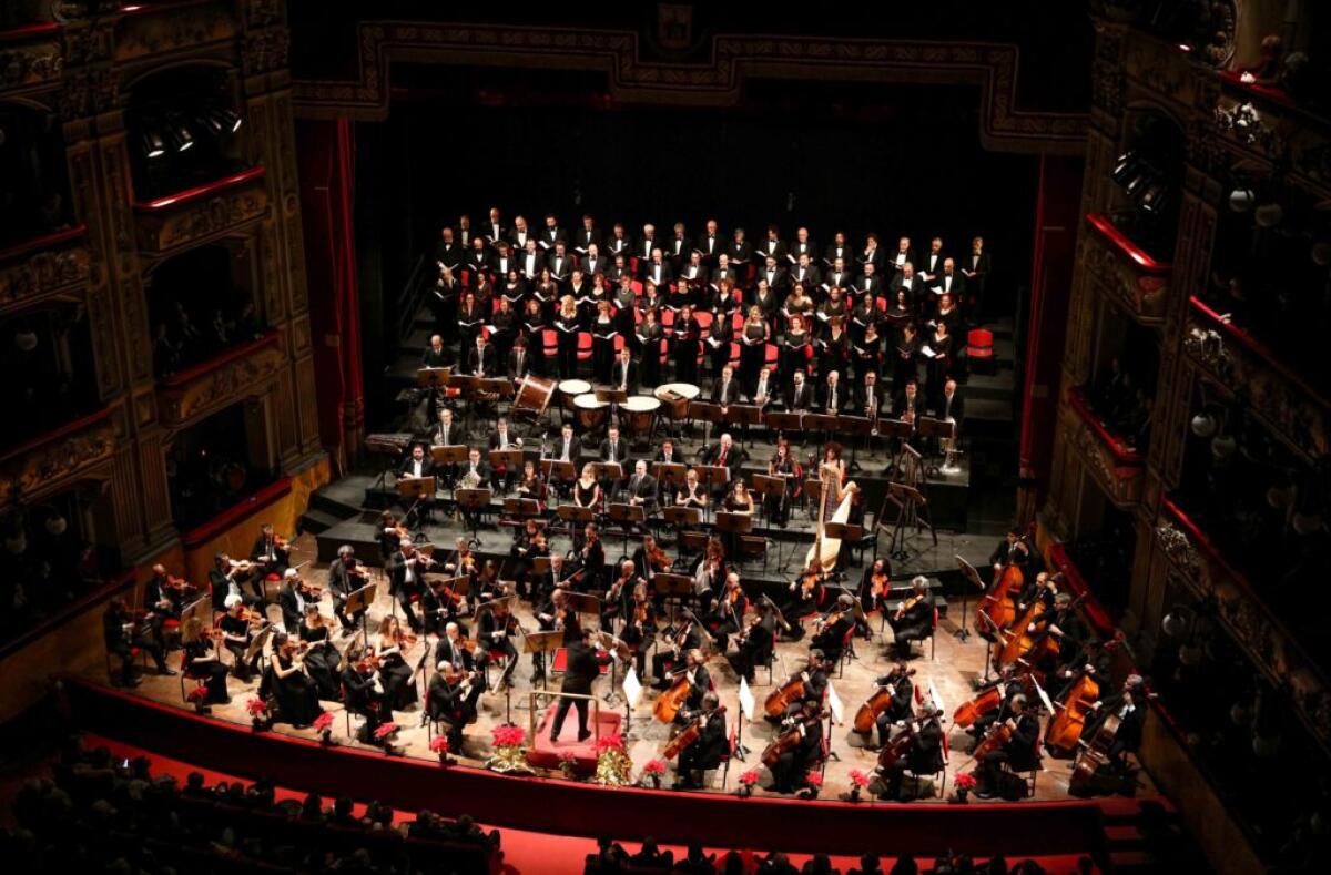 Selezione pubblica per professori d'orchestra - Vari strumenti: avviso e bandi disponibili - 